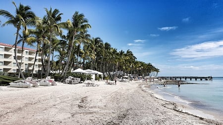 960px-Higgs Beach-WikiMedia-Commons