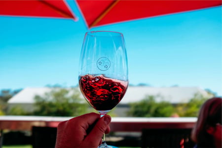 Person holding a glass of wine in a tropical setting piqsels.com-id-sveth
