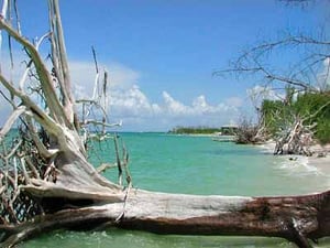 Lovers Key State Park.jpg