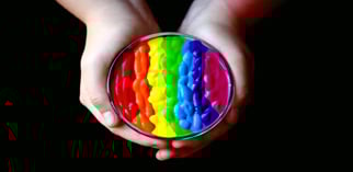 Hands holding rainbow colored paint piqsels.com-id-zkpsl