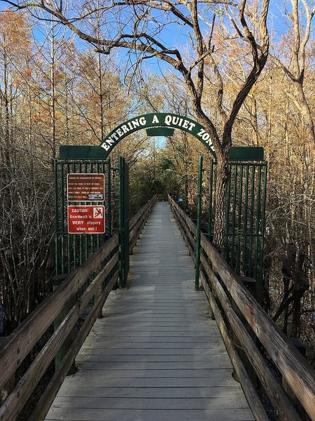 Entrance to one of the walking boardwalks at the Six-Mile Cypress Slough Preserve
