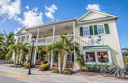 Key-West-Butterfly