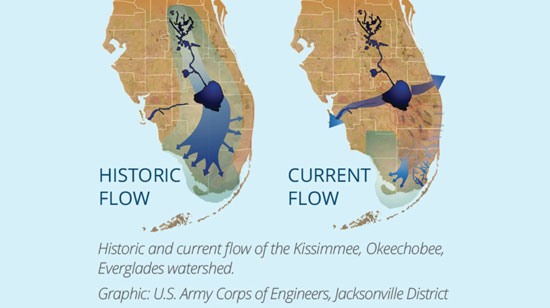 Everglades-Water-Flow