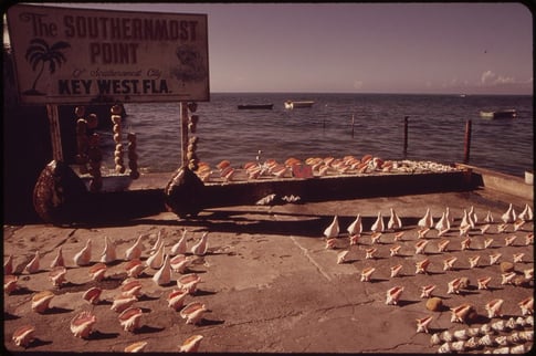 1024px-SOUVENIR_SEASHELLS_FOR_SALE_AT_THE_SOUTHERNMOST_POINT_OF_THE_UNITED_STATES_-_NARA_-_548545