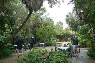 Key_West_Tropical_Forest_&_Botanical_Garden_13-14_January_2021--Florida - WikiMedia Commons