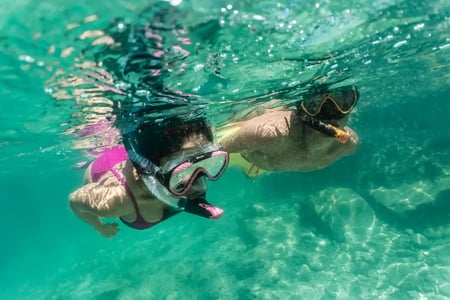 couple snorkeling in Miami Beach Visit Florida Visit Florida