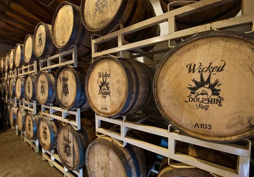 Wicked Dolphin Barrel Room