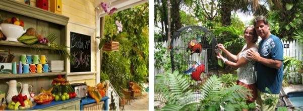 Tropical.jpg