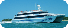 Do you need a car in Key West?