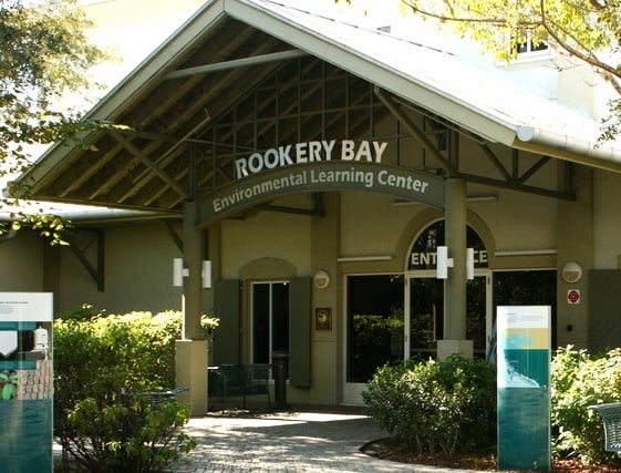 ROOKERY_bay_learning_center-601518-edited.jpg