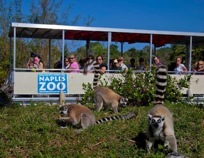 naples_zoo_photo.jpg