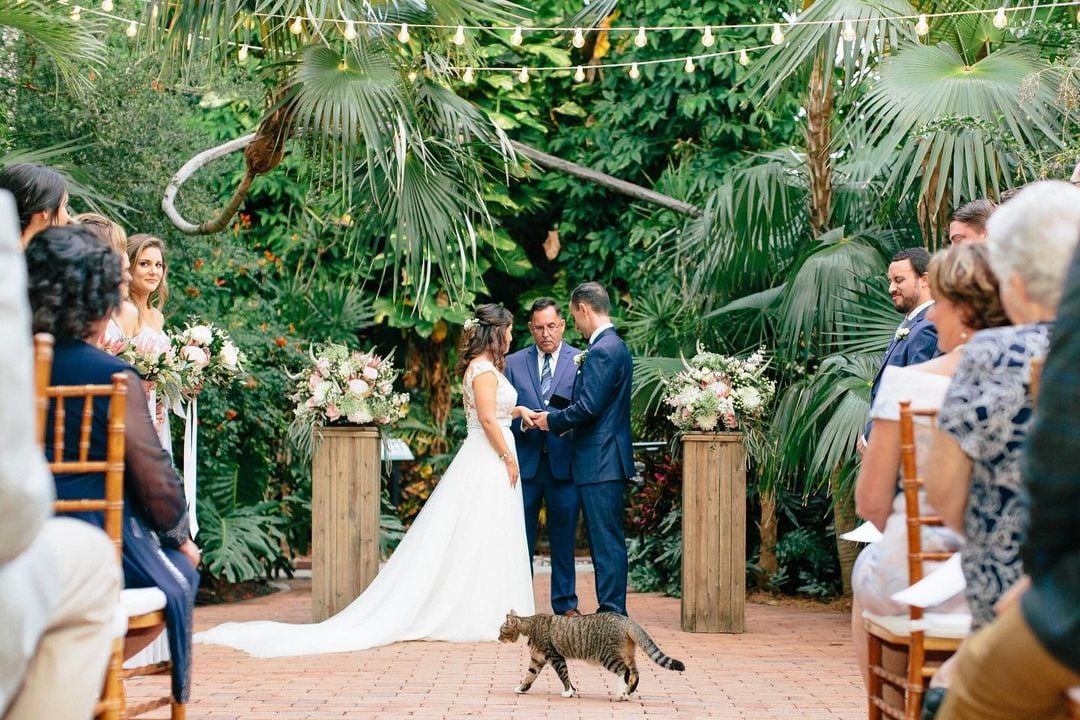 Key West Wedding at Hemingway Home by @irismoorephoto via Instagram