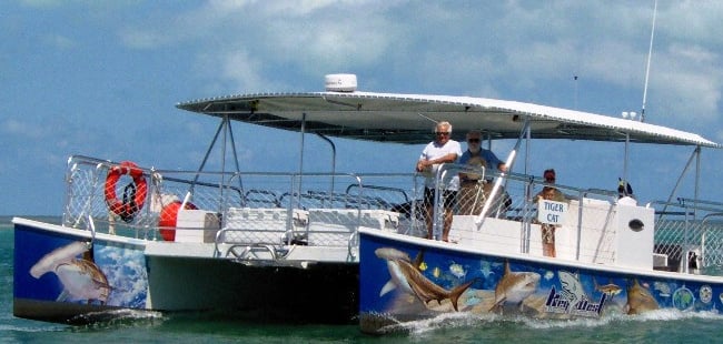 Tiger Cat Catamaran