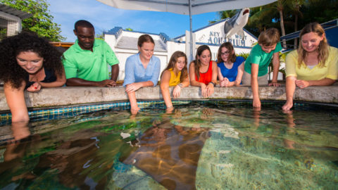 key-west-aquarium